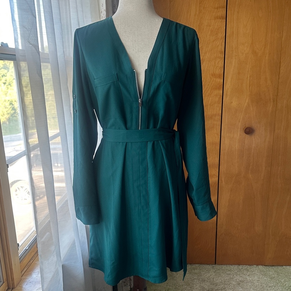Express: Teal Long-Sleeve Dress (EUC)